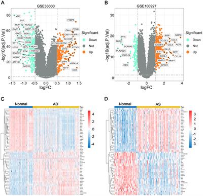 Identification of crosstalk genes and immune characteristics between Alzheimer’s disease and atherosclerosis